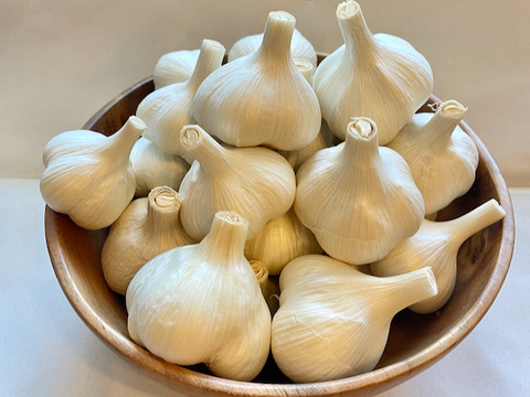 【大阪万博記念価格】農薬化学肥料不使用　にんにく『福地ホワイト』1kg　大阪産　サイズ混合