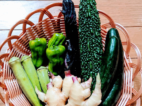 【静岡県産】野菜セット 5〜7種類