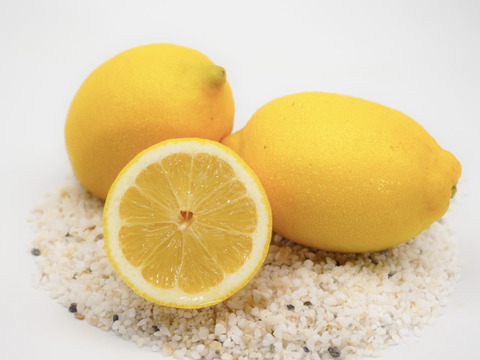 【柑橘食べ比べ】デコ(不知火)2kg×レモン1kg　旬の柑橘食べ比べセット！