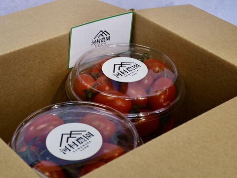 しっかりとした食べ応え！
アイコトマト1kg （250g×4）