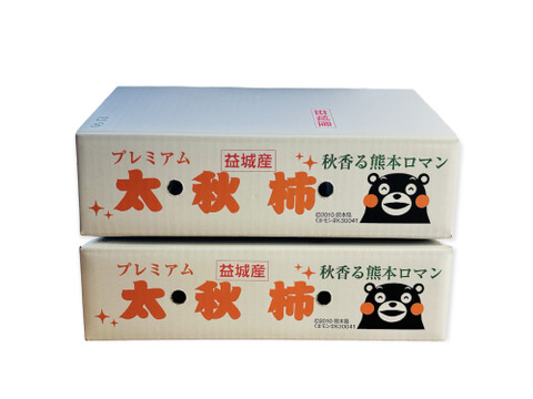ruth様専用】2箱太秋柿10玉・白箱入り3.5kg-