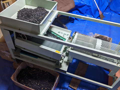 北海道ニセコ　自然栽培　天穀黒豆330gｘ2袋　ジッパー付真空パックでお届け　2025年産