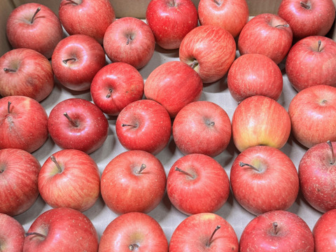 【ジュース加工用・極小玉 バラ詰め】サンふじ🍎約4.5Kg🍎手のひらサイズ　加工用りんご　青森県産　数量限定