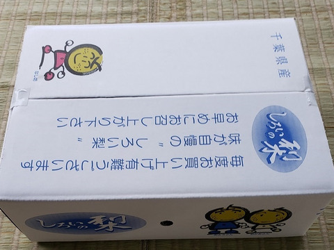 贈答品】梨 幸水 秀品 3Kg箱 中玉（9玉 ~ 10玉)_2025：千葉県産
