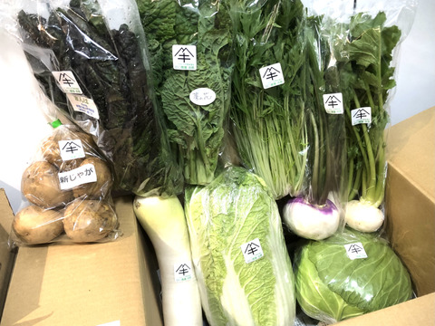 定期便設定（お届け日は２～３日前後します）【たっぷりいろいろ　２０００円セット】農家人が選ぶ旬野菜のおまかせセットです。季節ごとの旬の世界農業遺産ブランド野菜を厳選してお届け致します。