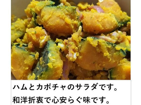 まろあじ 食べ切りバターナッツかぼちゃ（約1kg 2〜3玉 ）