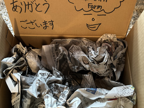 ナムワ系バナナ 2.5kg〔自然栽培〕