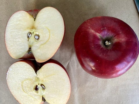 りんごセレクト５種 （B品2㎏）