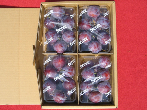 【予約販売・数量限定】長野県産：生プルーン２㎏（オパール）500ｇパック×４つで１箱（７月発送）