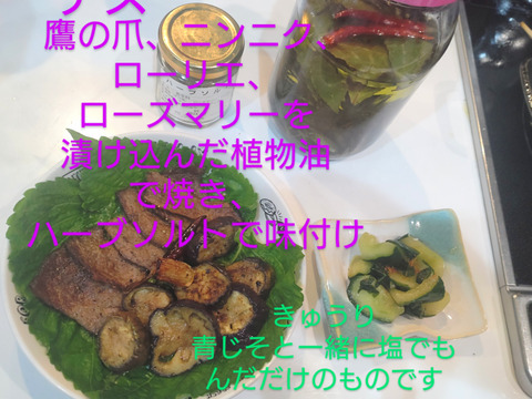 【単品用】なす🍆10個以上のお届け☆採れたて新鮮！畑から直送☆茄子 ナス なすび ※大きさ、品種はお選びできません。小〜中サイズのナス🍆🏣ゆうパック60サイズ満杯にお届け☆