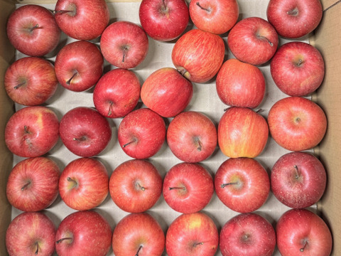 【ジュース加工用・極小玉 バラ詰め】サンふじ🍎約4.5Kg🍎手のひらサイズ　加工用りんご　青森県産　数量限定