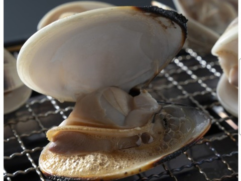 【アワード受賞福袋】
『蛤おためし福袋』九十九里の海の幸　口に広がる豊潤な薫り