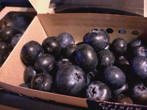 【国産生ブルーベリー】100g×3pc〈トヨヒルセット【C】〉