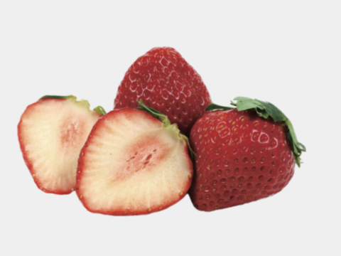 長野県産　夏秋イチゴ「すずあかね」1箱【250g～300ｇ×２トレー】