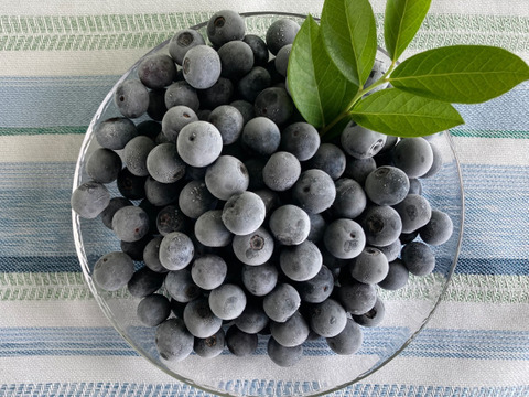 極上冷凍ブルーベリー　2ｋｇ　アイス好きな方にオススメ　冷凍で栄養価も高まるスーパー美容フルーツです！