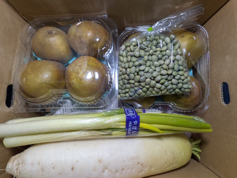 白菜、大根、ネギ、青大豆、リンゴ、ラ・フランス