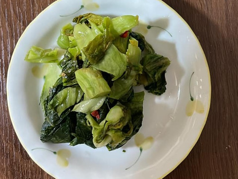 【赤大葉高菜】5kg