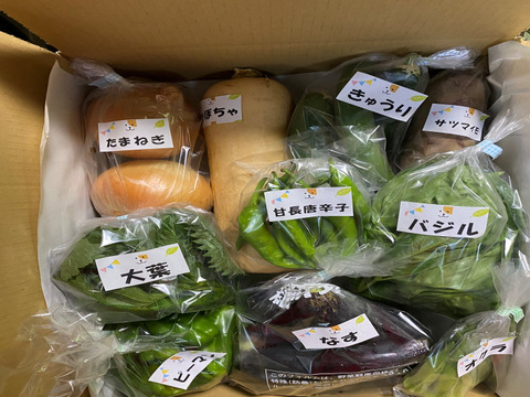 箱いっぱいセット たくさんの種類 ちょうどいい量 お料理好きの野菜詰め合わせ ペットも食べられる野菜 和歌山県産 食べチョク 農家 漁師の産直ネット通販 旬の食材を生産者直送