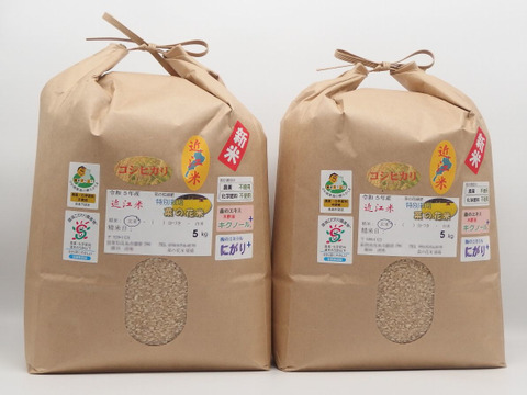 【令和5年産】✣農薬化学肥料不使用✣近江米コシヒカリ✣玄米で食べてニッコリ菜の花米✣10kg玄米