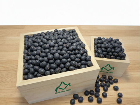 北海道ニセコ　自然栽培　天穀黒豆330gｘ2袋　ジッパー付真空パックでお届け　2025年産