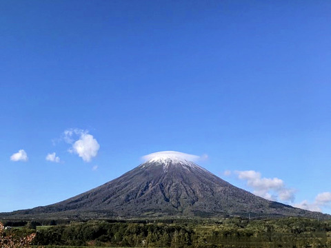 《北海道産》味自慢！秋の野菜セット