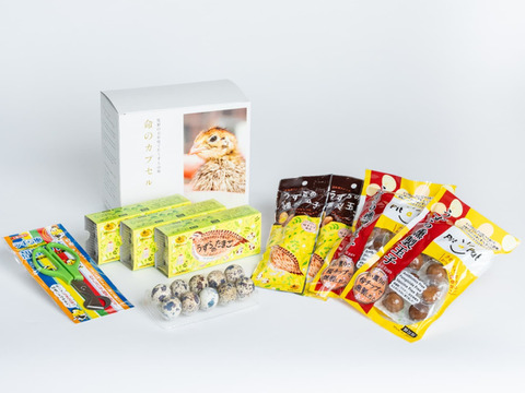 うずらぼっくす〔うずら生卵・うずら燻製玉子2種・殻割ハサミ〕+うずらの生卵40個+からわりハサミ１丁