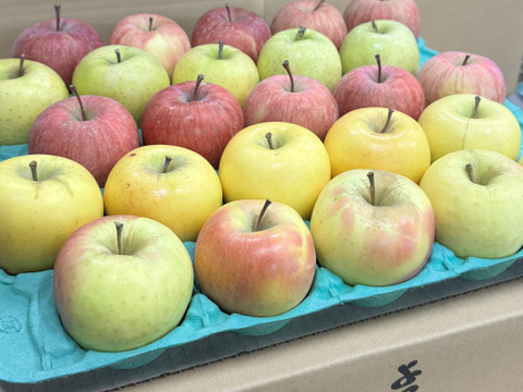 ★選べる４種★オールスター小玉🍎🍏💛💚家庭用約4.5Kg　食べ比べ　サンふじ　王林　シナノゴールド　ぐんま名月　青森県産　数量限定　４種の中から選べる　好きな数　好きな種類