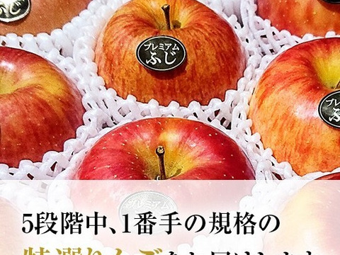 青森県産りんご 【大人気】【代々受け継がれた選びに選び抜いた極みの味】大きめサイズプレミアム蜜入り葉とらずさんふじ5Kg糖度13度以上