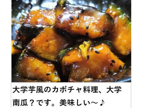 ★旨味がトロけ出す！ロロンで幸せな一時を　大人買い超お得品（約15kg/箱含む）