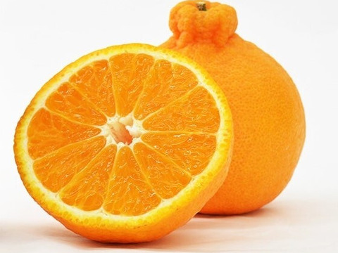 【早割！！】果汁たっぷり！！愛媛県産デコ不知火（しらぬい）５kg入【ご家庭用】