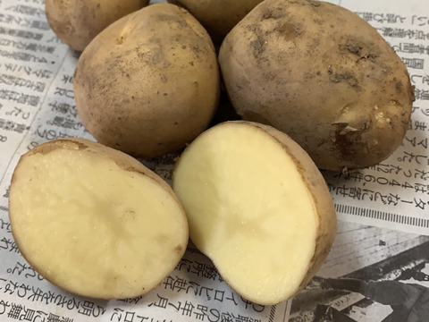甘くて栄養豊富　JAS認証 有機栽培　インカのめざめ(10kg)馬鈴薯　じゃがいも🥔