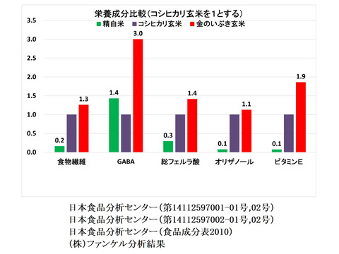 【アキモト様専用】【令和６年産】自然栽培「金のいぶき」玄米　２０ｋｇ　備蓄用　真空パック
