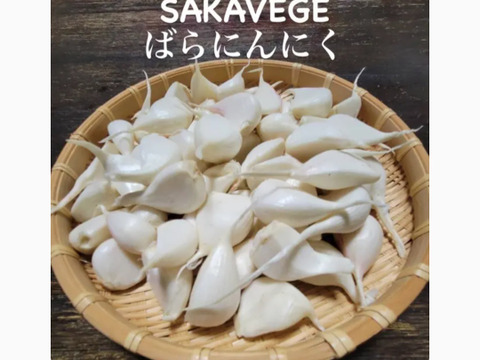 訳ありバラにんにく1000g