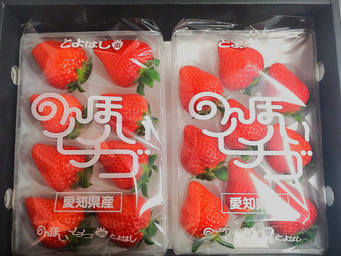 【🥈イチゴグランプリ2025さわやかな甘み賞銀賞受賞！】【みくのか】 ジュワジュワ～っとおいしい贅沢いちご「甘熟のんほいイチゴ（みくのか）」（1箱2パック） （1パック8-15玉250g×2パック）