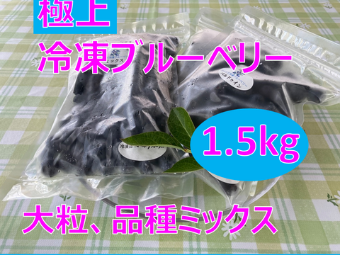 【今夏、最後の出品です！】大粒　冷凍ブルーベリー　1.5kg 品種ミックス　アイス好きな方におススメです。
