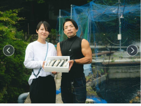 湯布院　銀鱗鮎　名水育ち　生鮎1Kg（１０匹～１３匹）