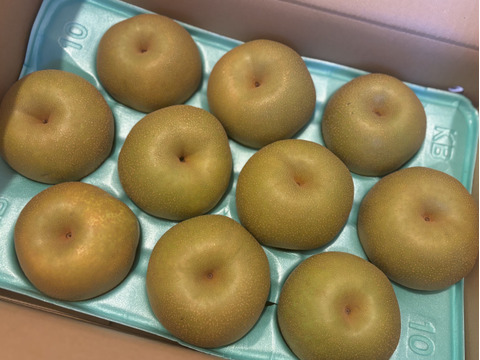 シャキっと！爽やかでみずみずしい幸水梨（5kg）ちょっと訳あり