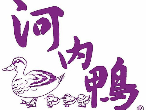 最高級「河内鴨」ロース（約500g） G20大阪サミット正式食材