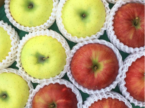 【冬ギフト】贈答用・葉とらずふじ&シナノゴールド パリパリ食感でおいしい組み合わせ！ 5kg（12〜20個）