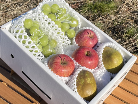🟢不揃いでも味は極上！シャインマスカット🍎完熟ふじりんご🍐ラ・フランス　詰め合わせセット