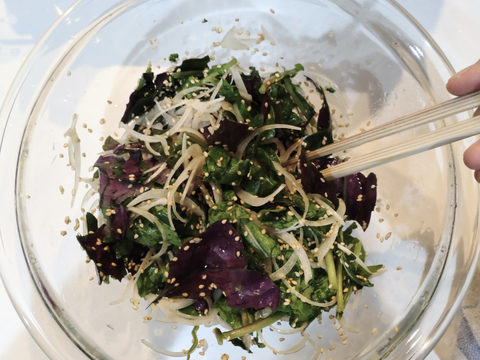 金時草（キンジソウ）採れたての葉（茎無し）を翌日配送🌿ゆうパック🏣☆自然栽培/ 水前寺菜 式部草 / 葉っぱを10枚以上☆表と裏の葉の色が違う野菜☆おひたしに、サラダに◆加賀野菜◆