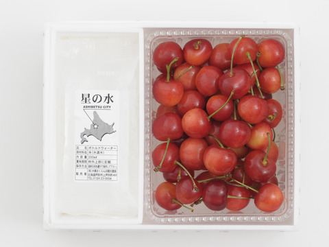 佐藤錦500ｇ【予約販売】北海道・芦別産【大橋さくらんぼ園】