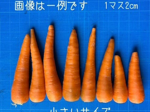 砂地栽培 新鮮なにんじん 小さい人参 5kg
