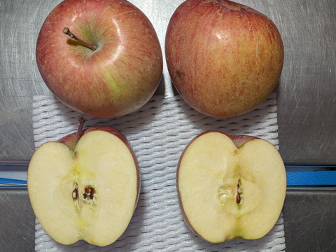 ふじリンゴ家庭用