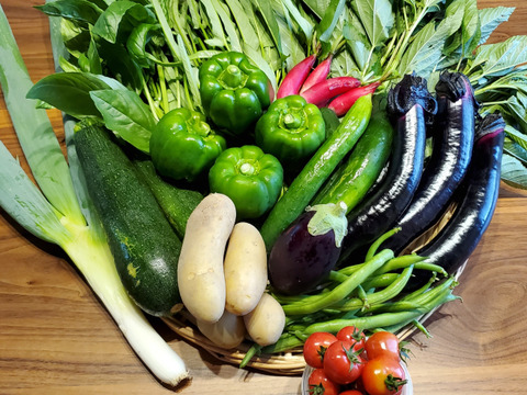 【お試しサイズ】生命力溢れる季節の野菜セット5品種(野菜を食べて笑顔になろう！)