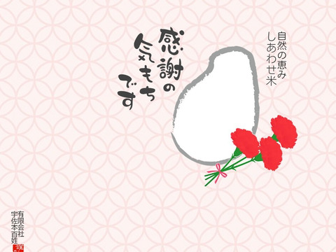 大地の力が育んだAランクの美味しさ『自然栽培のしあわせ米真空パック精米900gと古代米300g』【母の日ギフト】