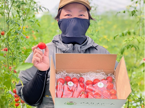 ミディトマト・中玉トマト・高糖度フルーツトマト『フルティカ・シンディースイート』合わせて 1kg
栽培期間中農薬・化学肥料不使用♪