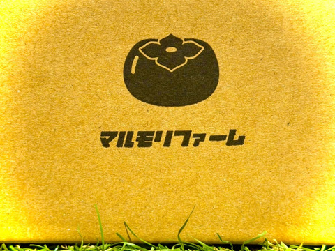 浜松産ブルーベリー贈答品 【生食用】樹熟⭐︎生ブルーベリー　直売所でお客さんが並ぶおいしさ！200g×2パック入り
