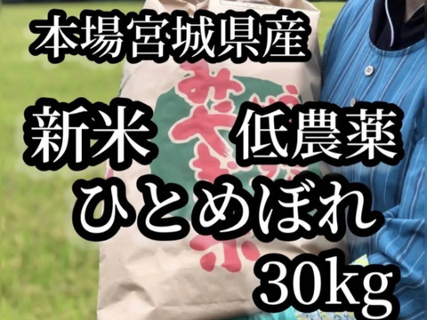 本場宮城県産令和8年新米ひとめぼれ玄米30kg：宮城県産のお米｜食べ