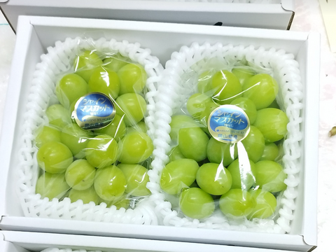 甘々シャインマスカット2房1.2kg★8月発送【お徳用】岡山県産◎農家直送